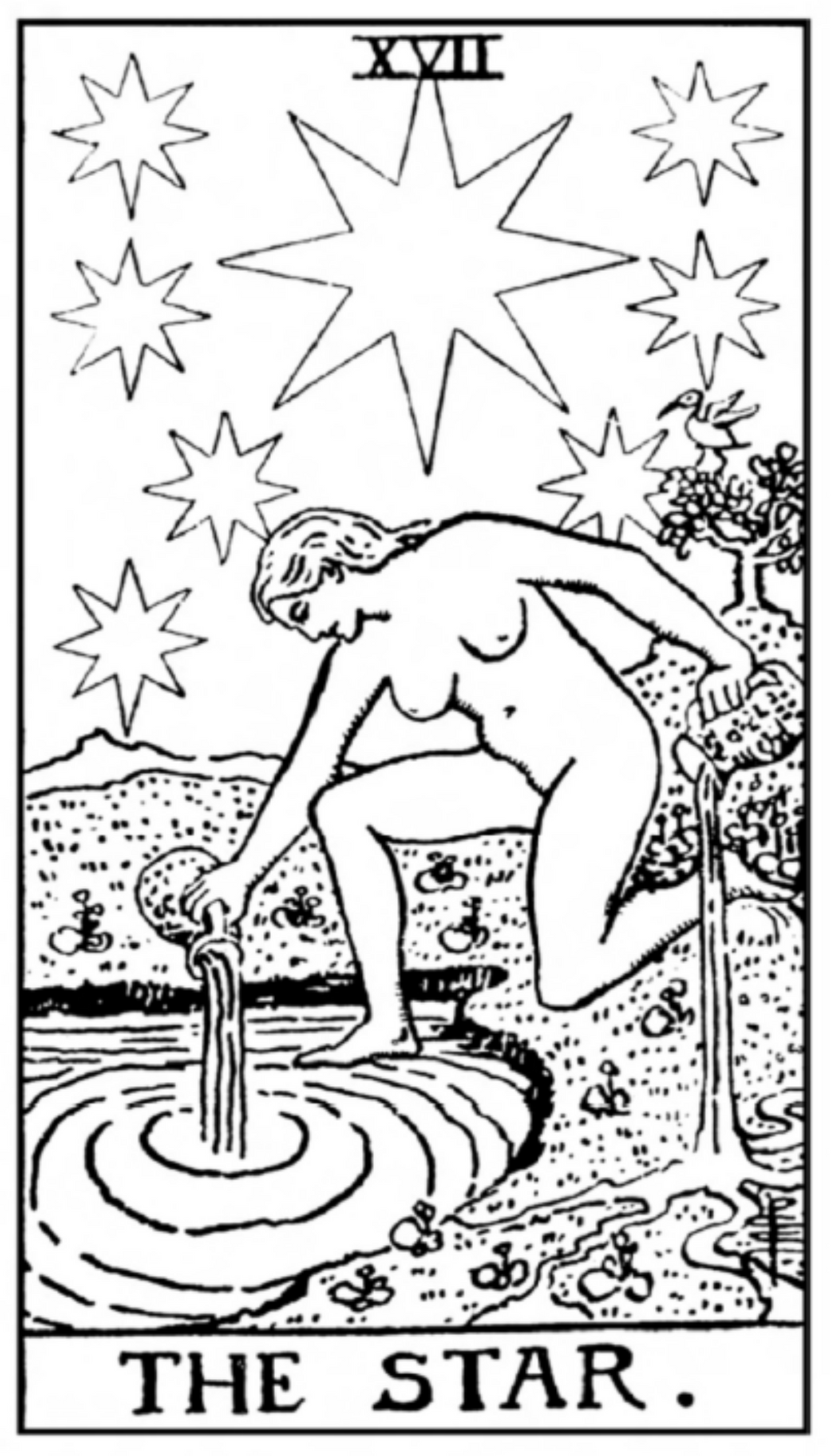 The Star Tarot T-Shirt