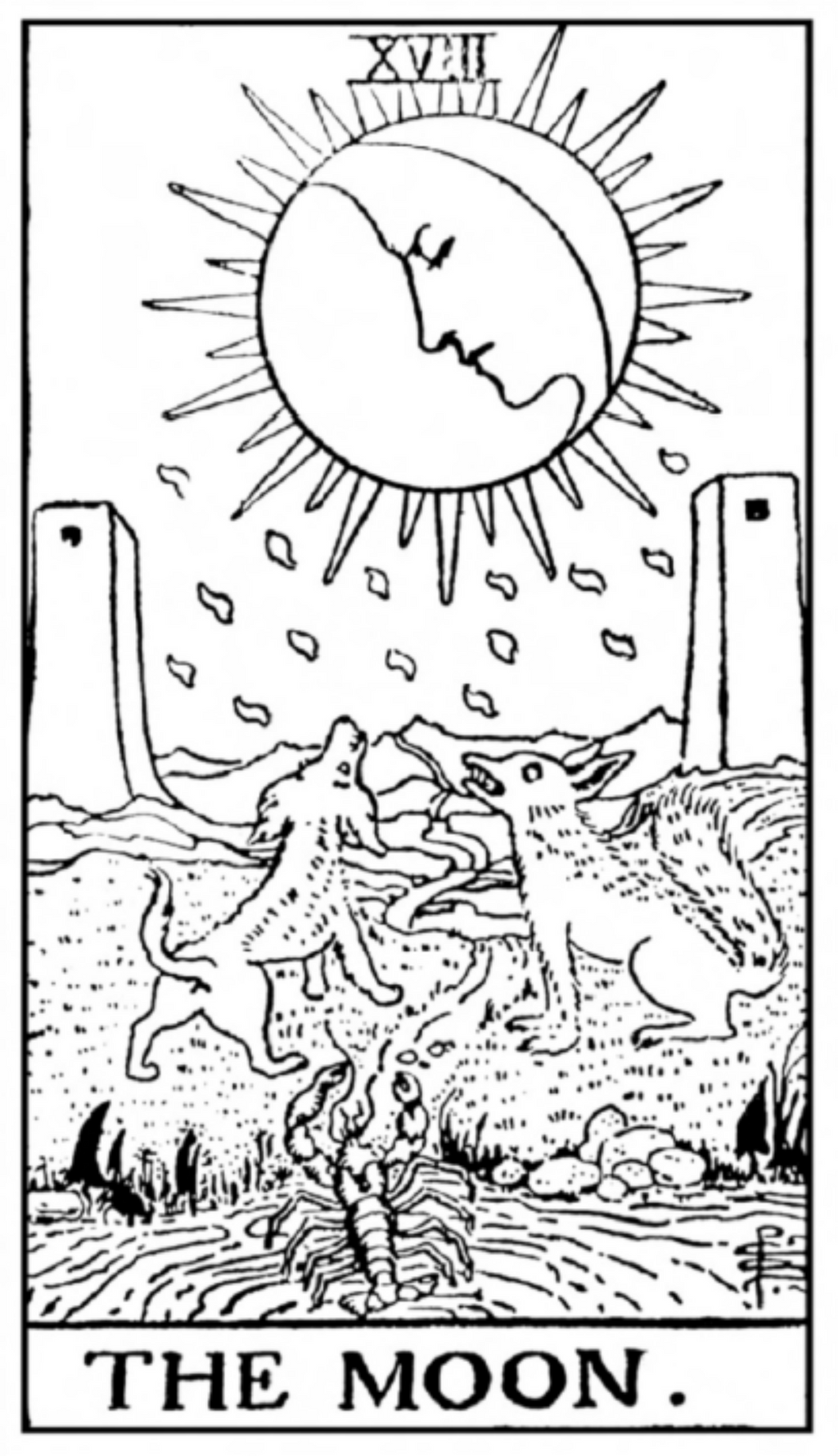 The Moon Tarot T-Shirt